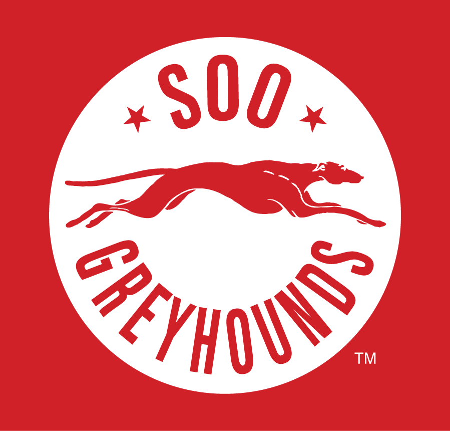 Sault Ste. Marie Greyhounds 2013-Pres Alternate Logo iron on heat transfer...